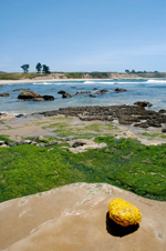 photo of california coast